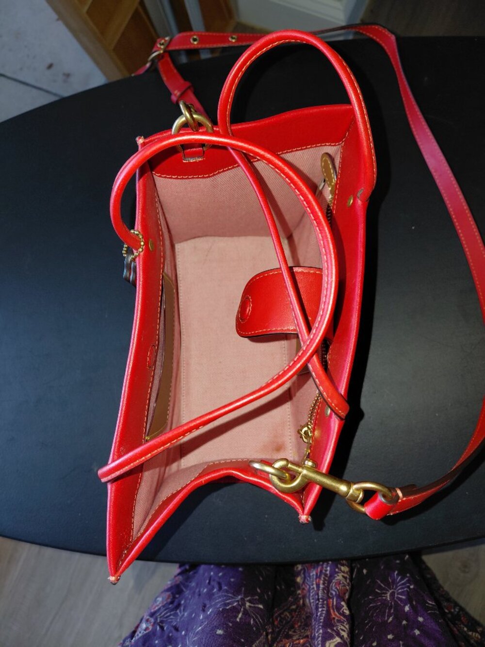 Coach 2023 Fire Island Pride Edition Cherry's tote - Picture 5 of 8
